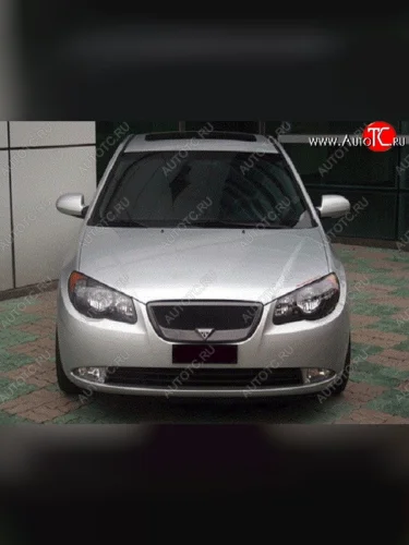 Решётка радиатора RoadRuns Hyundai Elantra HD (2006-2011)