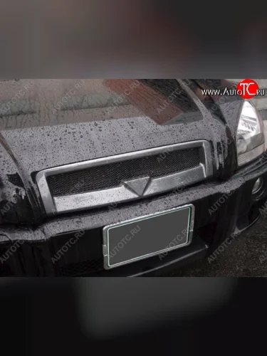 Решётка радиатора RoadRuns Hyundai Tucson JM (2004-2010)