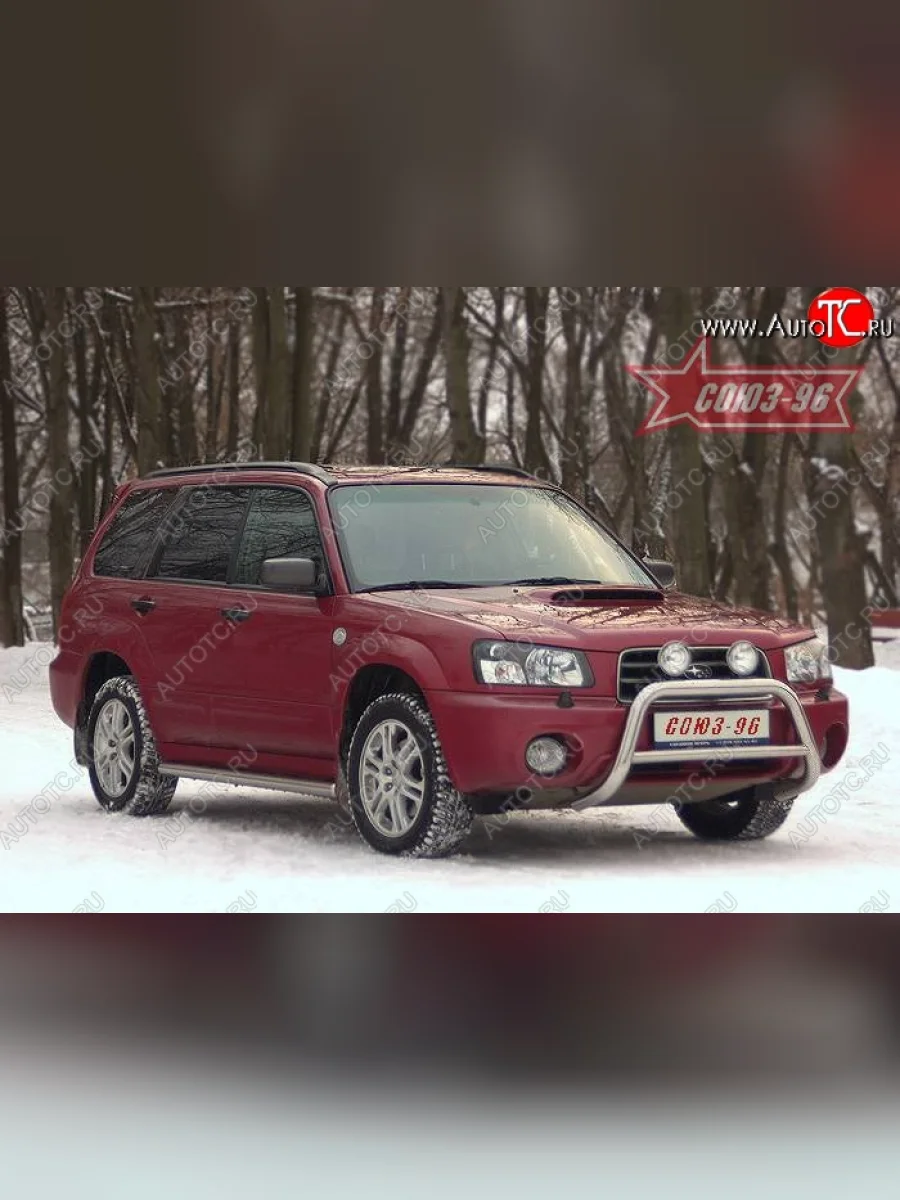 Защита переднего бампера Souz-96 (d60) Subaru Forester SG дорестайлинг (2002-2005)  в Перми Пермском крае