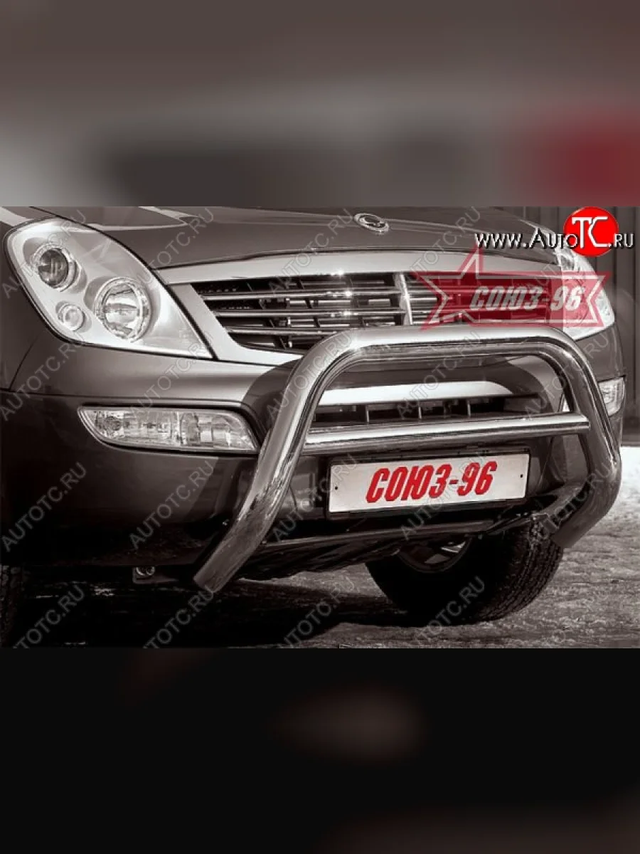 Защита переднего бампера (без кенгурина и подножек) Souz-96 (d76) SSANGYONG Rexton Y200 (2001-2006)  с доставкой в г. Керчь