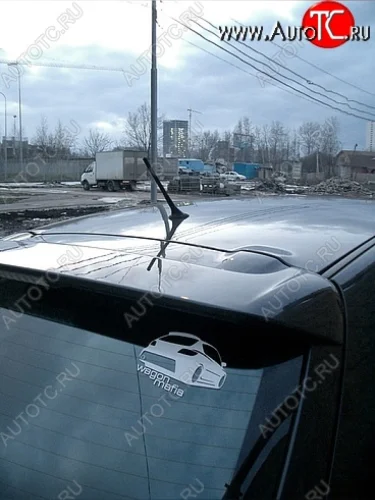 Спойлер SPORTEST Mazda 3/Axela BK дорестайлинг, хэтчбэк (2003-2006)