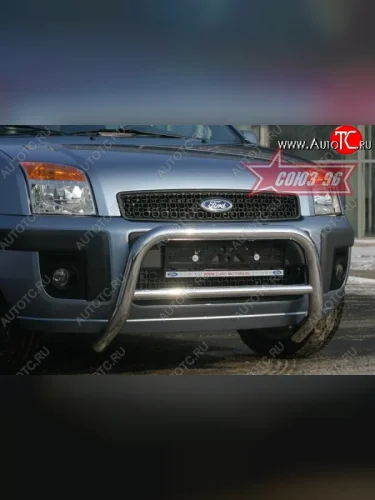 Защита переднего бампера Souz-96 (d60) Ford Fusion 1  рестайлинг, хэтчбэк (2005-2012)