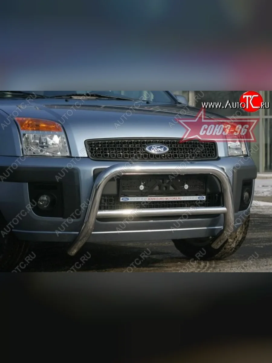 Защита переднего бампера Souz-96 (d60)  Ford Fusion (2005-2012) 1  в Самаре Самарской области
