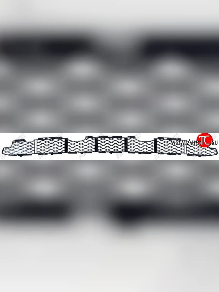 Решётка в передний бампер SAT (рестайлинг)  BMW X5 (2003-2006) E53  в Керчи Республика Крым