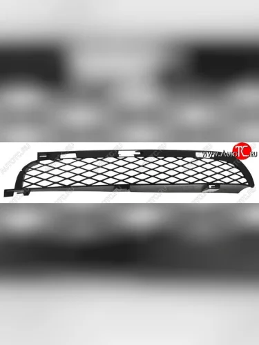 Решётка в передний бампер SAT BMW X5  E53 (2003-2006) рестайлинг