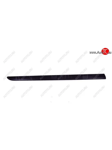 Молдинг левой передней двери NSP Skoda Fabia Mk2 хэтчбэк рестайлинг (2010-2014)