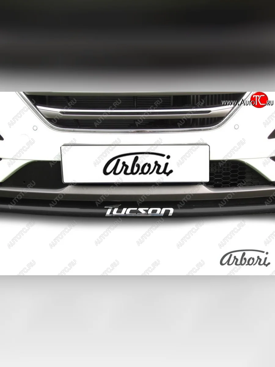 Защита переднего бампера Arbori (с надписью, черная, 1 труба d42 mm). Hyundai Tucson TL дорестайлинг (2015-2018)  в Самаре Самарской области