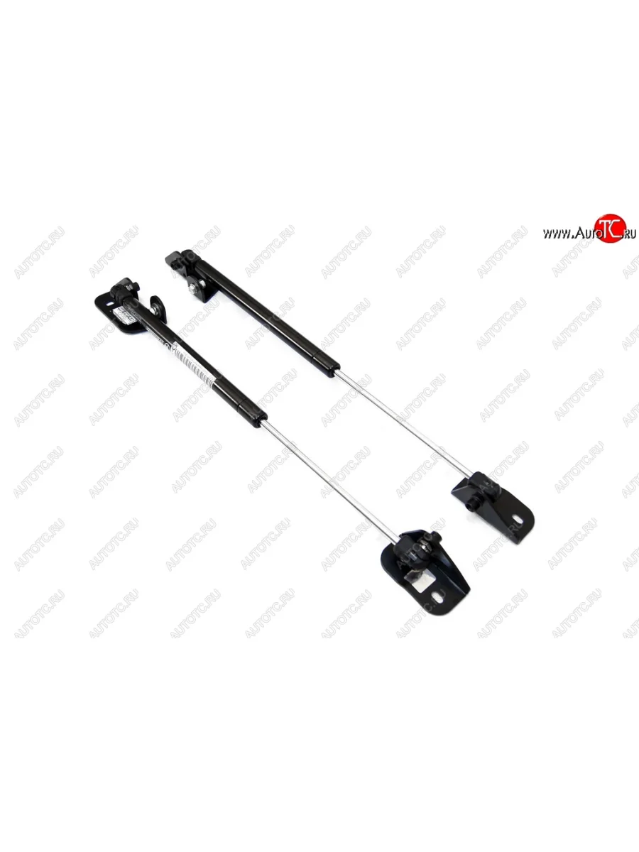 Упор капота Техно Мастер (газовый, компл. 2 шт.) Лада ВАЗ XRAY (2016-2022)  с доставкой в г. Керчь