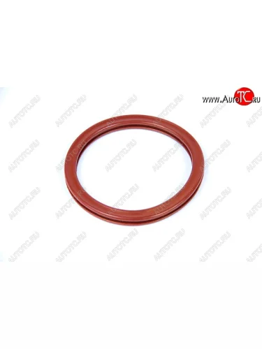 Уплотнительное кольцо дроссельной заслонки ПТП64 (малое 16 КЛ / 1.6Л) Renault Duster HS дорестайлинг (2010-2015)