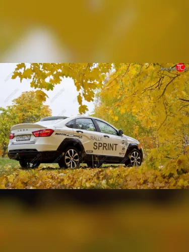 Комплект накладок на арки, порогм и молдингов Rally Sport Лада ВАЗ Веста Кросс SW 2181 универсал дорестайлинг (2017-2023)