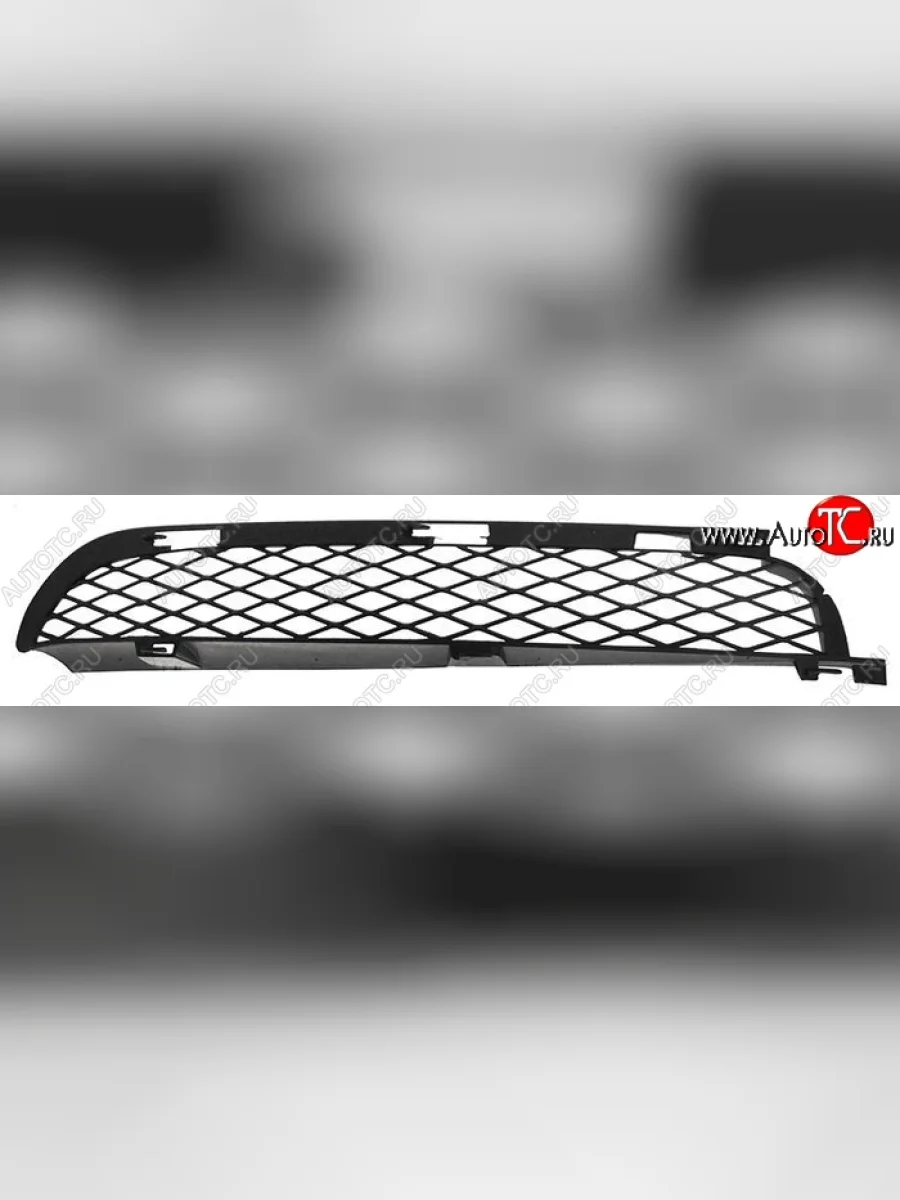 Решётка в передний бампер SAT (рестайлинг)  BMW X5 (2003-2006) E53  в Керчи Республика Крым