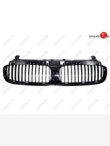 Решётка радиатора SAT BMW 7 серия E65,E66, E67, E68 дорестайлинг, седан (2001-2005)