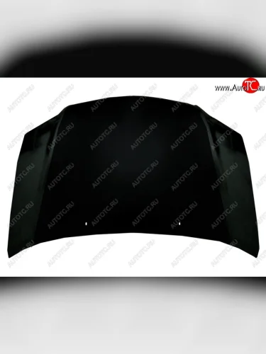 Капот SAT Toyota Corolla  E120 - Corolla Fielder  E120