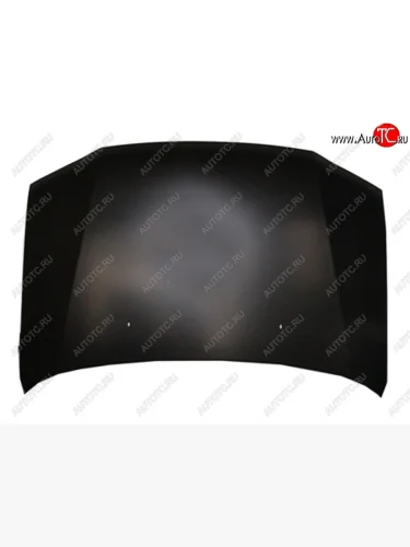 Капот SAT Toyota Probox (2002-2014)