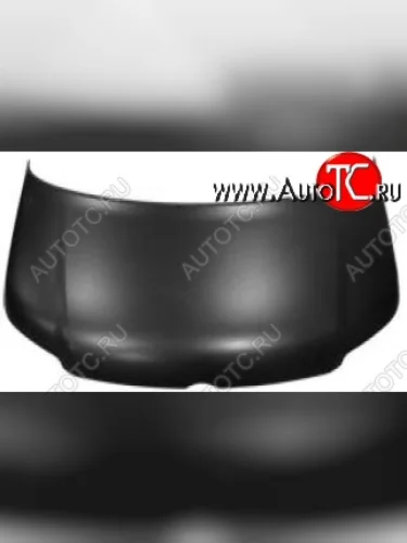 Капот SAT Volkswagen Transporter  T5 (2003-2009) дорестайлинг