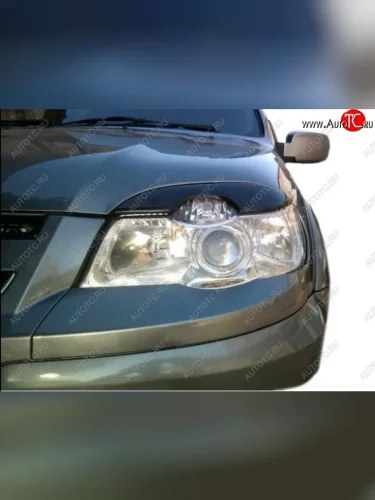 Реснички на фары Кураж 