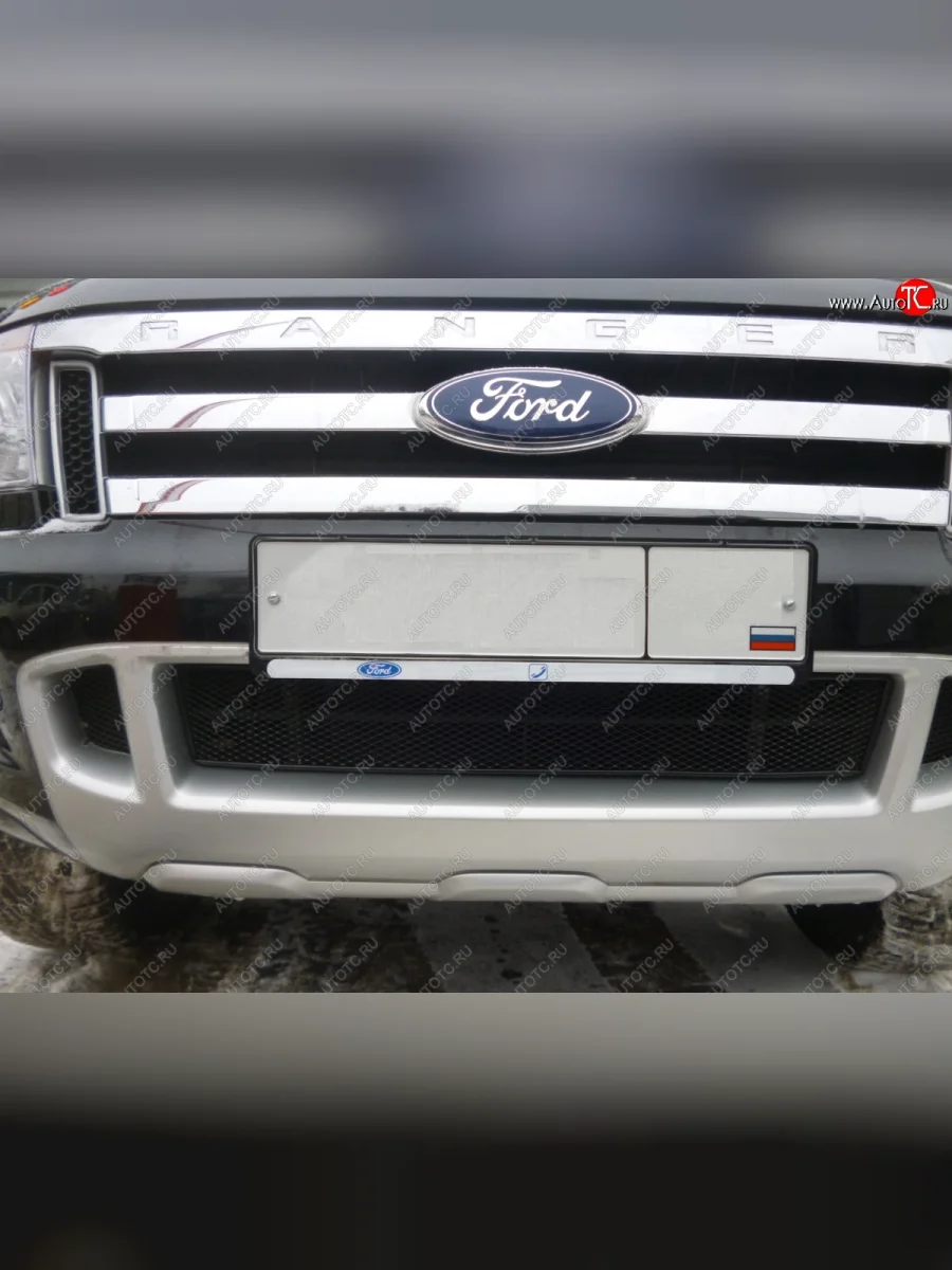 Сетка в воздухозаборник бампера Arbori (20 мм, сота)  Ford Ranger (2011-2016) DoubleCab, RapCab (Черная)  с доставкой в г. Керчь