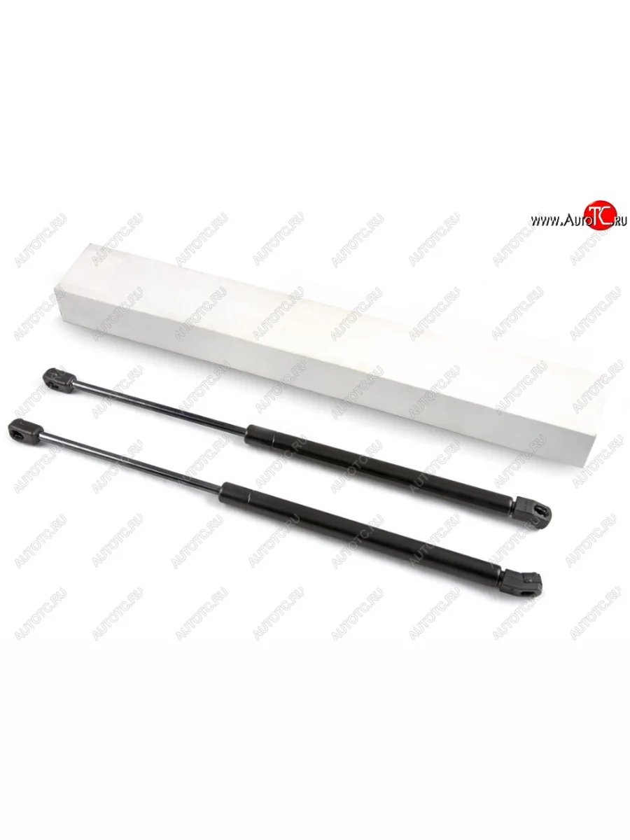 Упоры капота Arbori  Hyundai Elantra (2016-2019) AD  с доставкой в г. Керчь