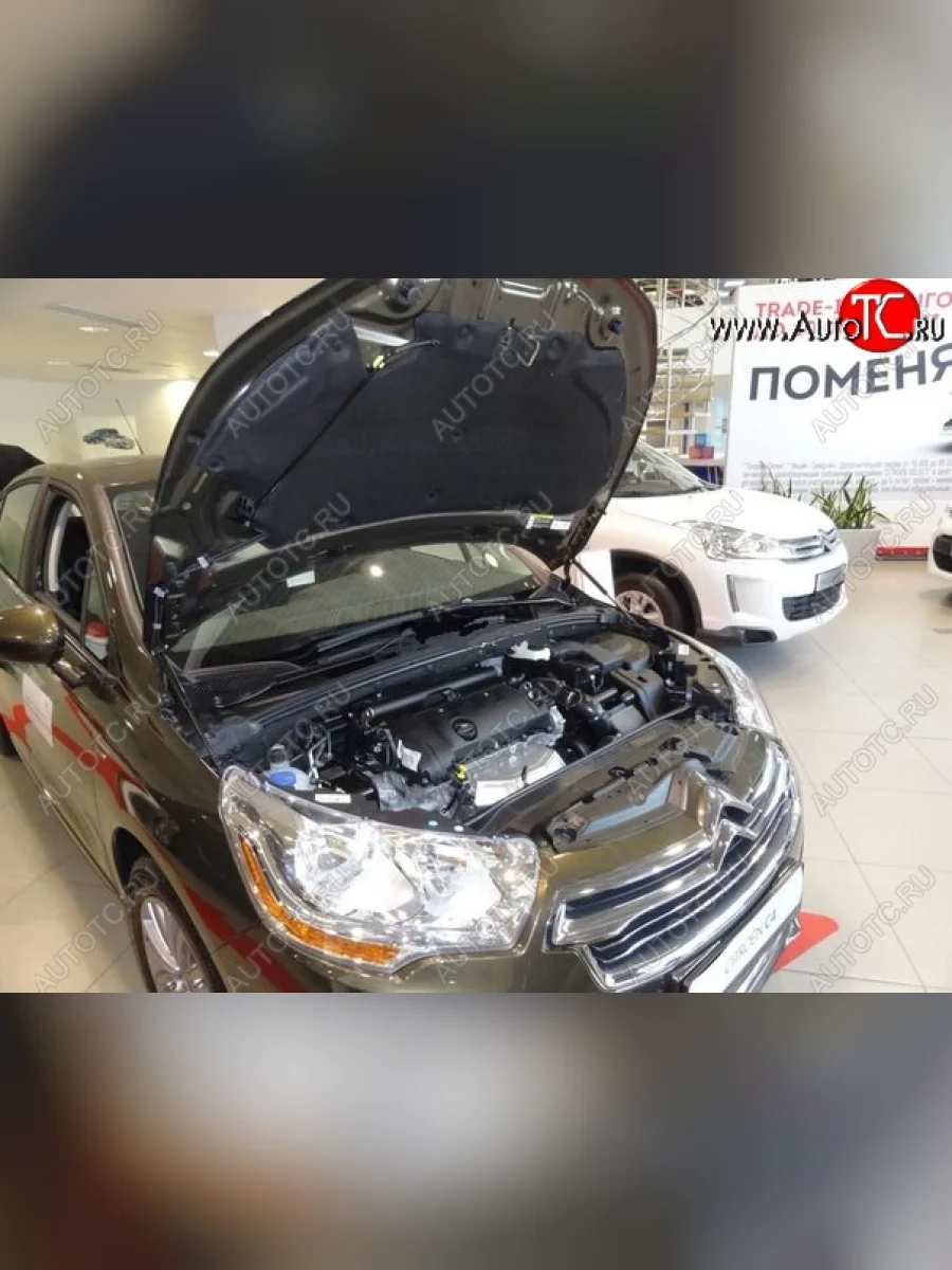 Упоры капота Russtal CITROEN C4 B7 хэтчбэк 5 дв. (2011-2018)  в Керчи Республика Крым