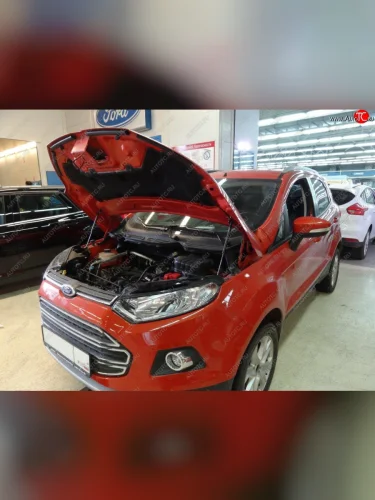 Упоры капота Russtal Ford EcoSport B515 рестайлинг (2017-2019)