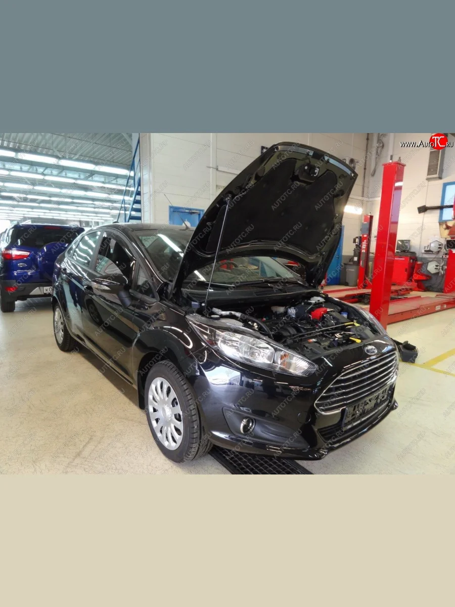 Упор капота Russtal Ford Fiesta 6 хэтчбэк 3 дв. дорестайлинг (2008-2013)  с доставкой в г. Керчь