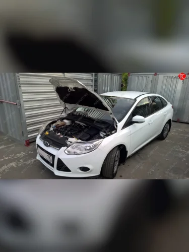 Упоры капота Russtal Ford Focus 3 универсал дорестайлинг (2010-2015)