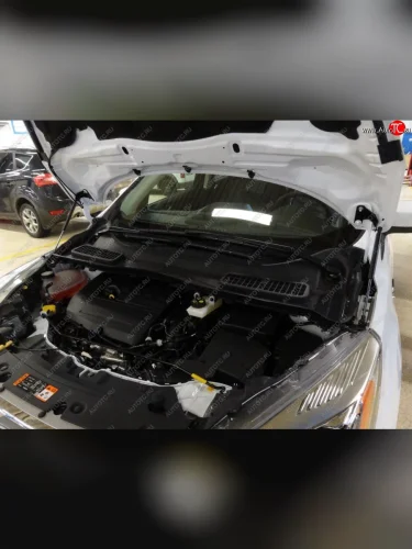 Упоры капота Russtal Ford Kuga 2 дорестайлинг (2013-2016)