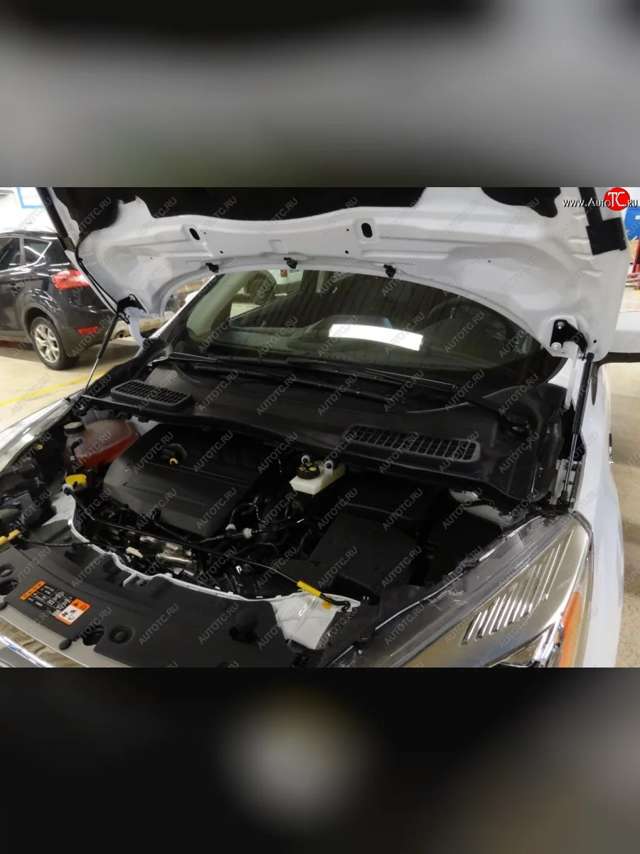 Упоры капота Russtal Ford Kuga 2 дорестайлинг (2013-2016)  в Керчи Республика Крым