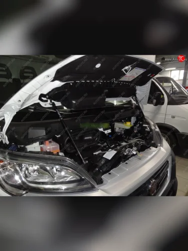 Упоры капота Russtal Fiat Ducato 290 (2014-2025)