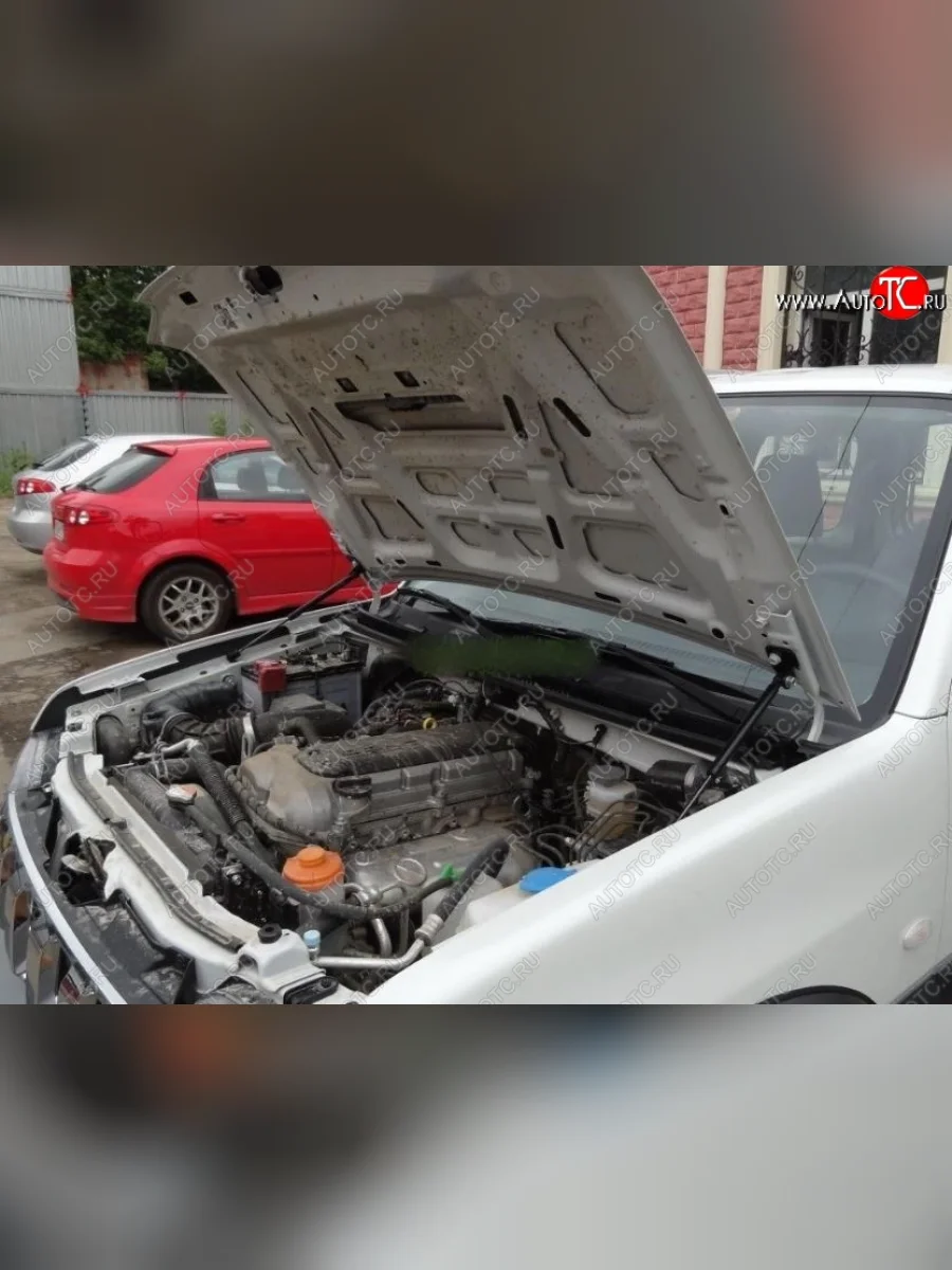 Упоры капота Russtal Suzuki Jimny JB23/JB43 2-ой рестайлинг (2012-2018)  с доставкой в г. Керчь