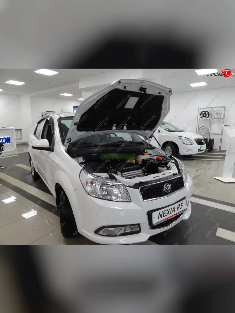 Упоры капота Russtal Ravon Nexia R3 (2016-2020)  в Перми Пермском крае