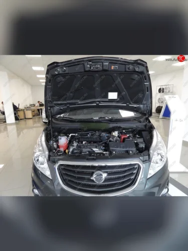 Упоры капота Russtal Ravon R2 (2016-2025)