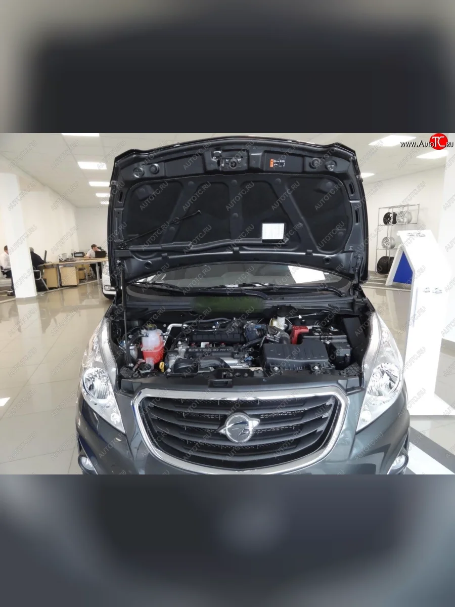 Упоры капота Russtal Ravon R2 (2016-2025)  с доставкой в г. Керчь