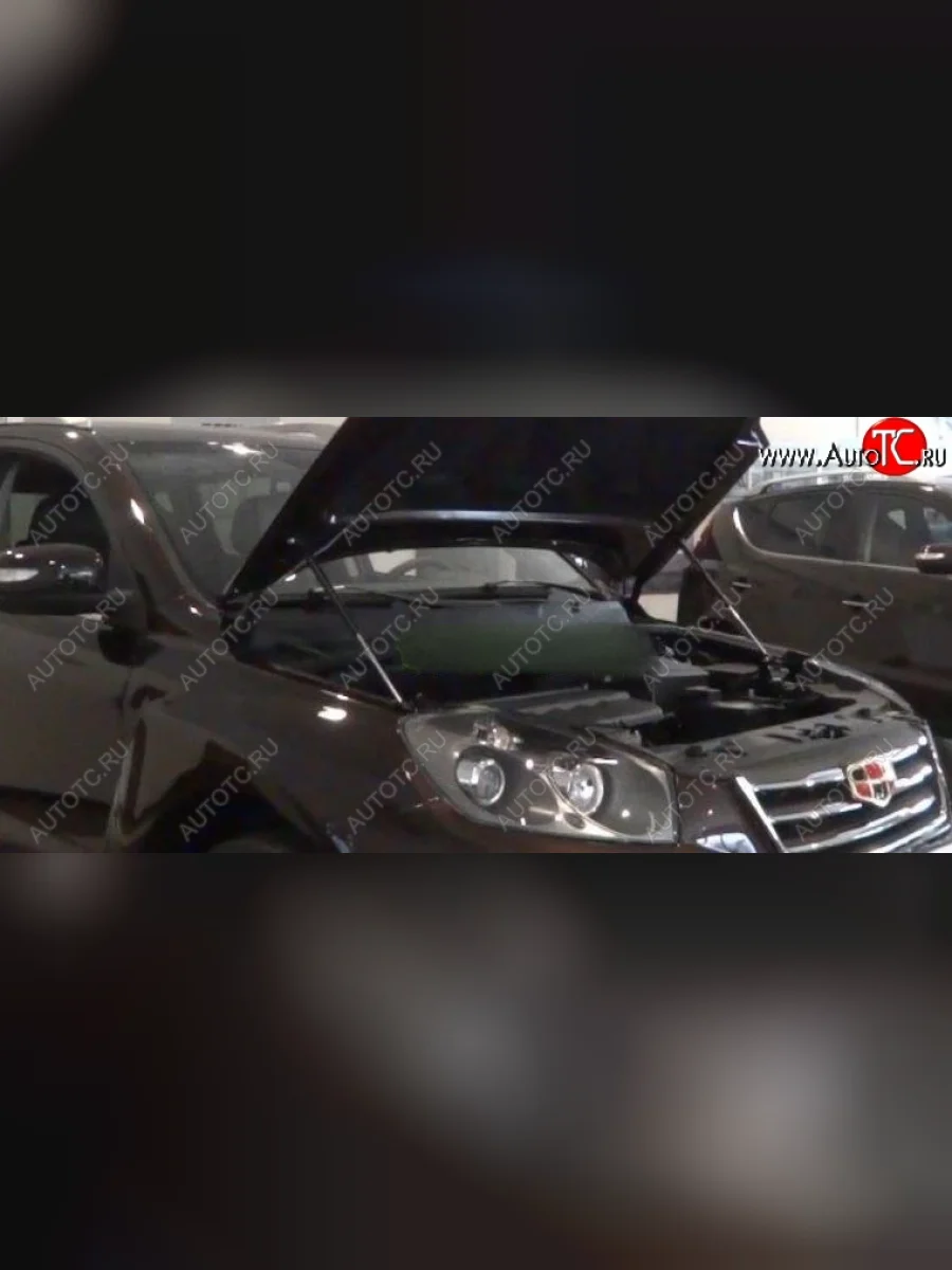 Упоры капота Russtal Geely Emgrand X7 дорестайлинг (2011-2015)  с доставкой в г. Керчь