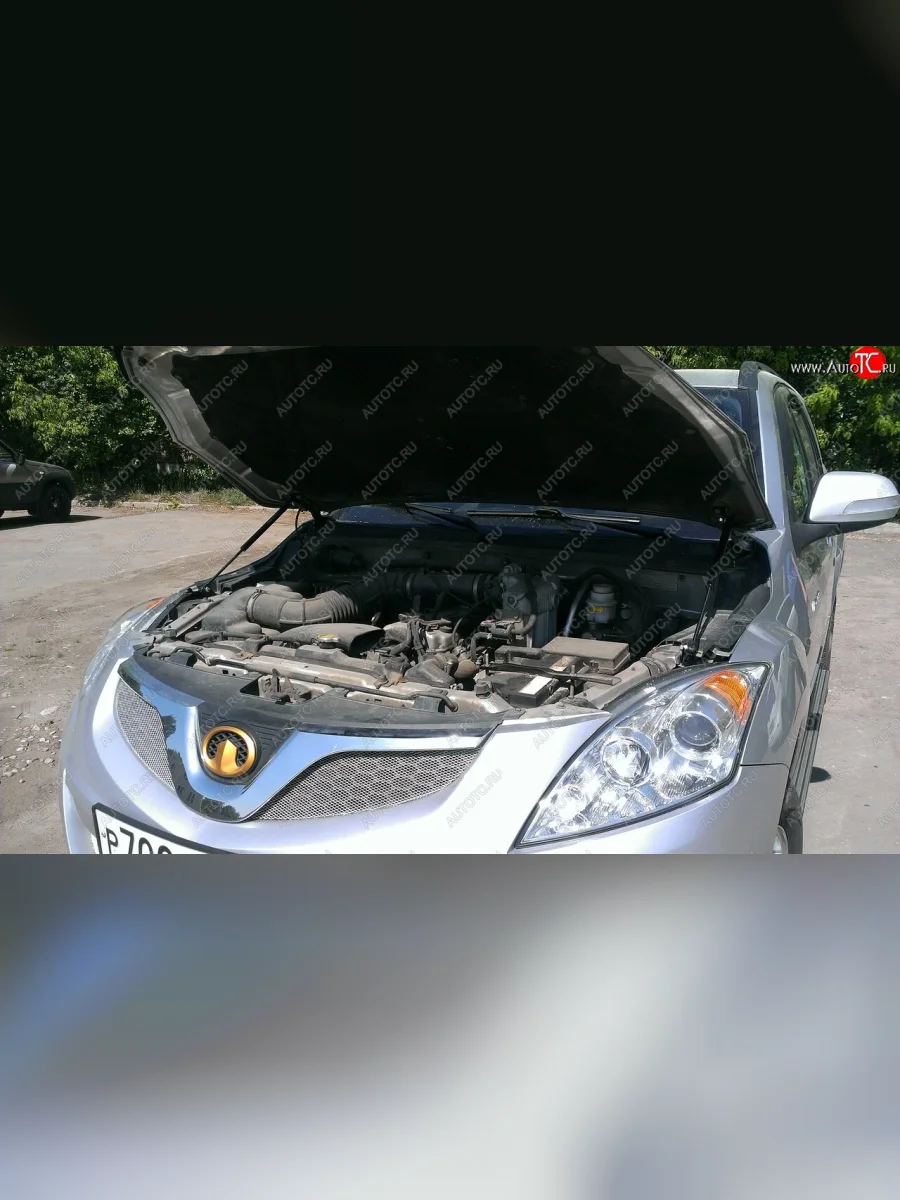 Упоры капота Russtal Great Wall Hover H5 (2010-2017)  в Керчи Республика Крым