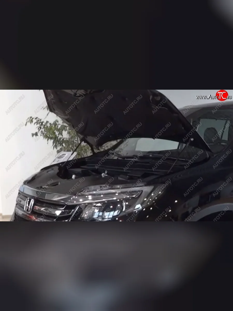 Упоры капота Russtal Honda Pilot YF6 дорестайлинг (2016-2019)  в Самаре Самарской области