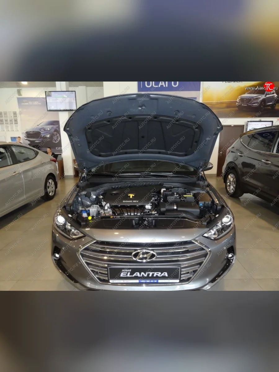 Упоры капота Russtal Hyundai Elantra AD дорестайлинг (2016-2019)  в Керчи Республика Крым