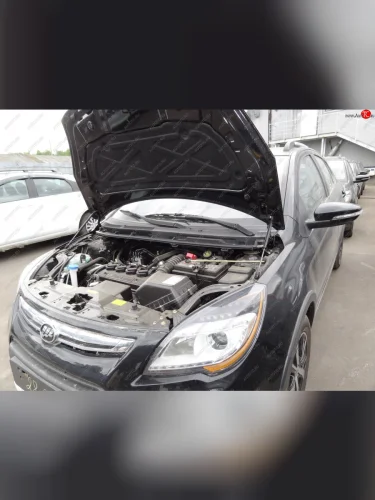 Упоры капота Russtal Lifan X50 (2015-2025)