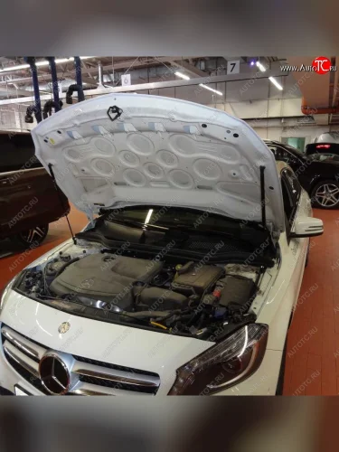 Упоры капота Russtal Mercedes-Benz A class W176 дорестайлинг, хэтчбэк 5 дв. (2012-2015)