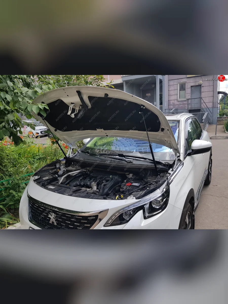 Упоры капота Russtal Peugeot 3008 2 C1A,C2A доресайлинг (2016-2020)  в Самаре Самарской области