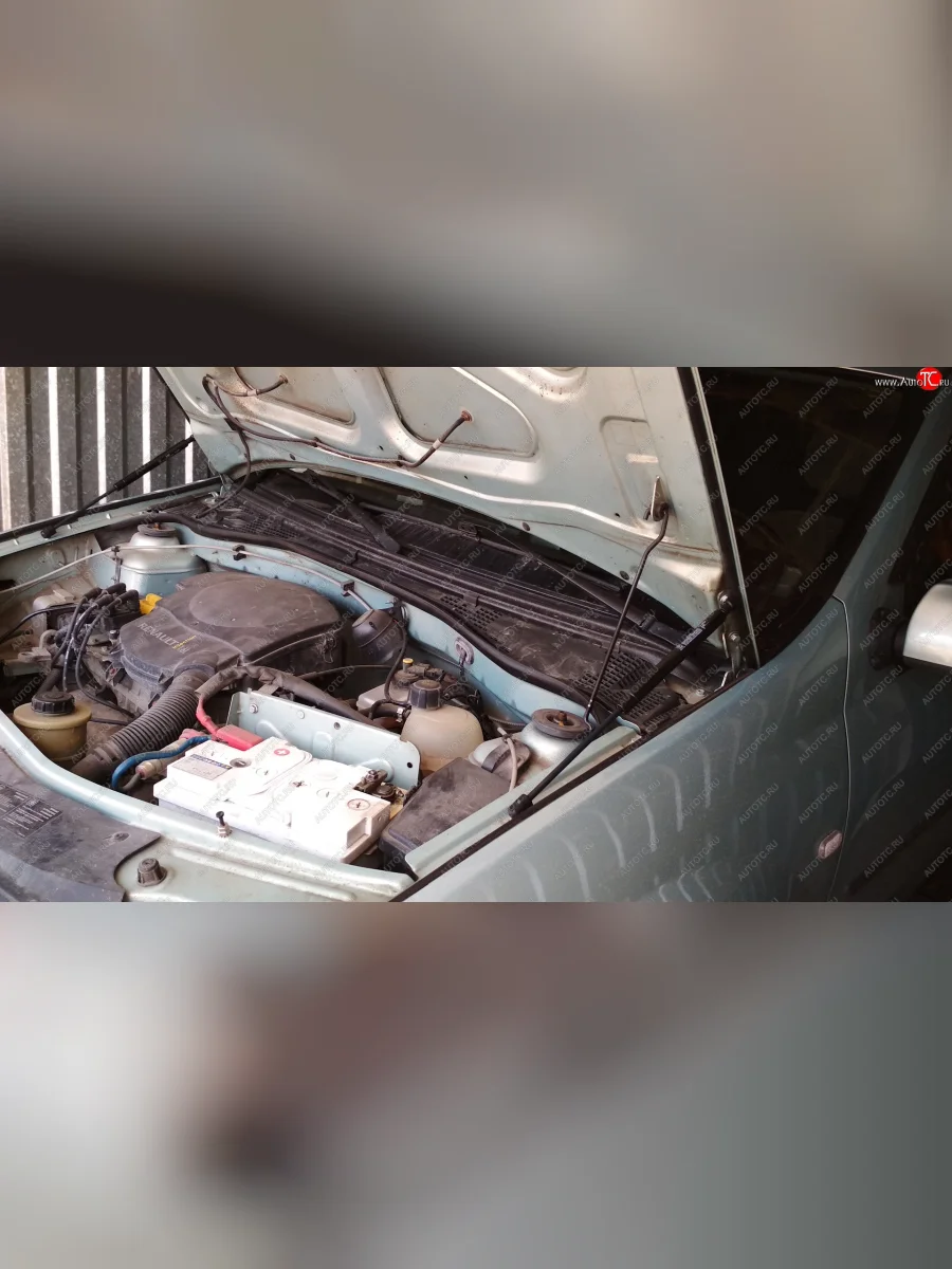 Упоры капота Russtal Renault Logan 2 дорестайлинг (2014-2018) (2 штуки)  в Керчи Республика Крым