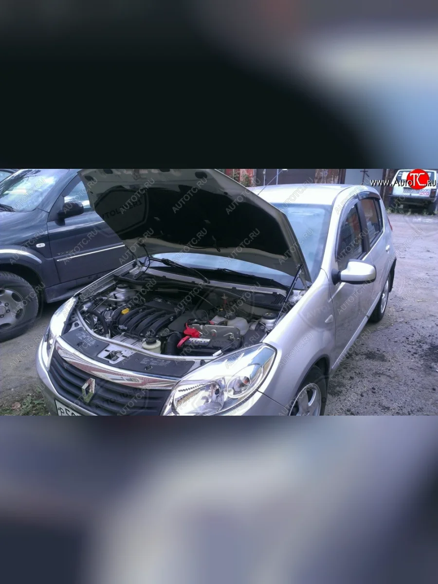 Упор капота Russtal Renault Sandero Stepway 1 (2010-2014)  в Керчи Республика Крым