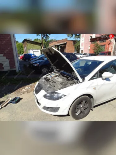 Упоры капота Russtal Seat Leon 1P хэтчбэк 5 дв. дорестайлинг (2005-2009)