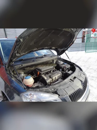 Упоры капота Russtal (2 штуки) Skoda Fabia Mk2 универсал рестайлинг (2010-2014)