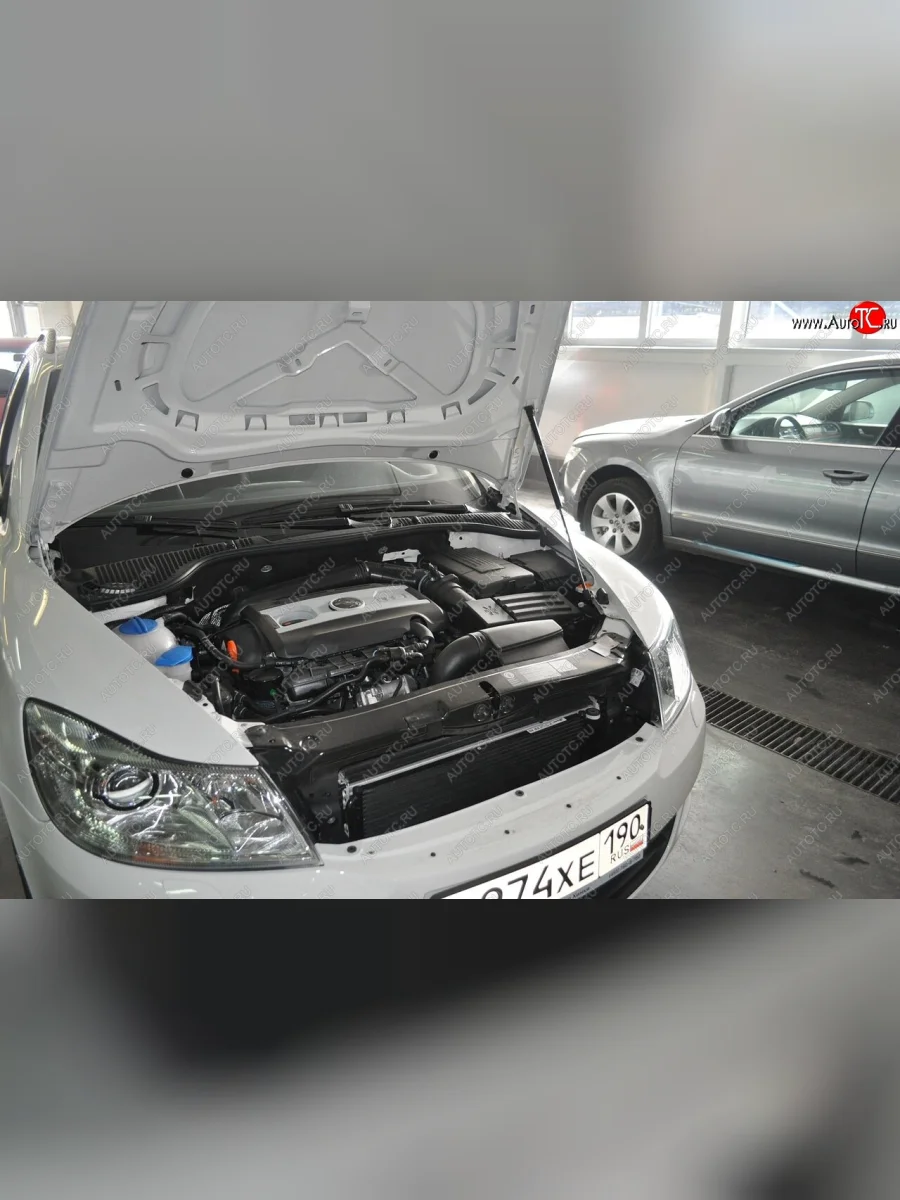 Упоры капота Russtal Skoda Octavia A5 дорестайлинг универсал (2004-2008) (1 штука)  в Керчи Республика Крым