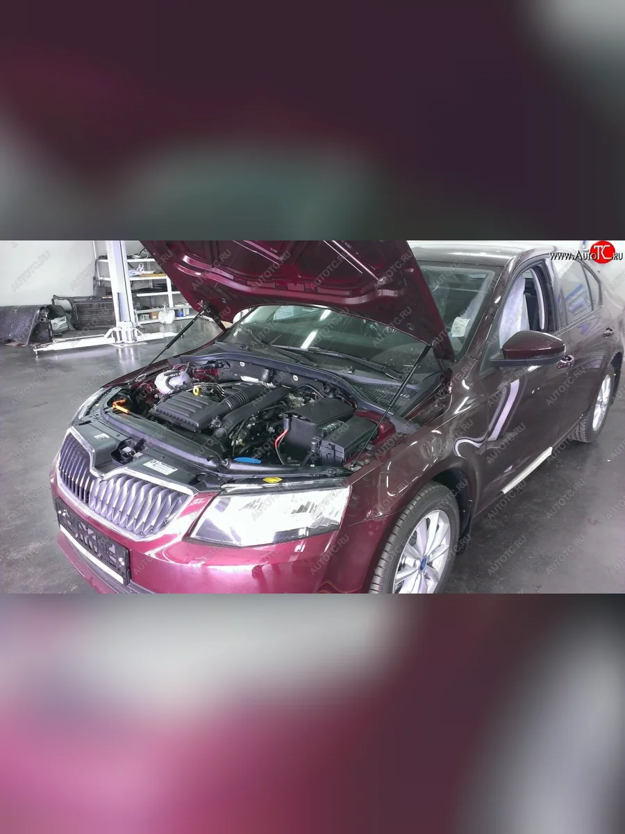 Упоры капота Russtal Skoda Octavia A7 дорестайлинг лифтбэк (2012-2017)  в Керчи Республика Крым