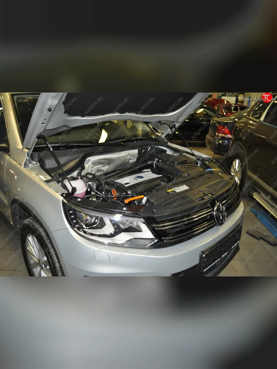 Упоры капота Russtal Volkswagen Tiguan NF дорестайлинг (2006-2011)  в Керчи Республика Крым