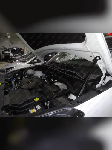 Упоры капота Russtal Hyundai Tucson TL рестайлинг (2018-2021)