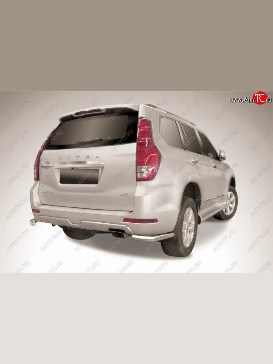 Уголки d76 серебристые Haval H9 1-ый рестайлинг (2017-2019) (Сталь с полимерным покрытием. Цвет: серебристый)  в Керчи Республика Крым