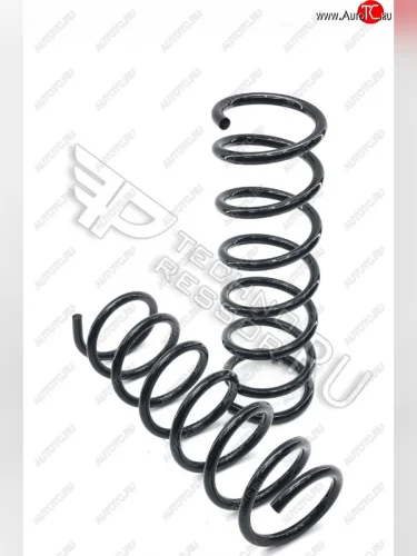 Комплект стандартных задних пружин Техно Рессор Ford Focus  2 (2004-2011)  седан дорестайлинг, хэтчбэк 3 дв. дорестайлинг, хэтчбэк 5 дв. дорестайлинг, седан рестайлинг, хэтчбэк 3 дв. рестайлинг, хэтчбэк 5 дв. рестайлинг